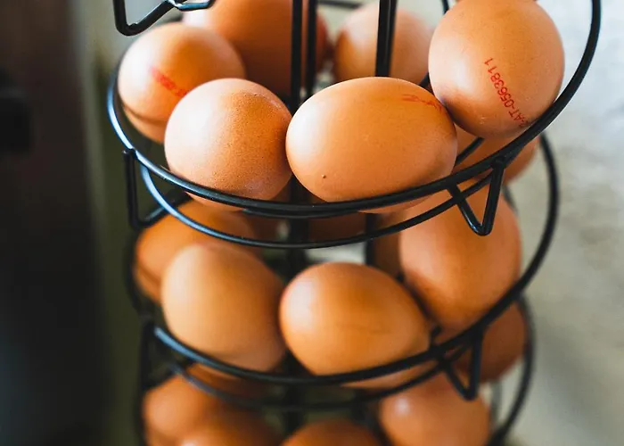 Faaker فندق فاك ام سي